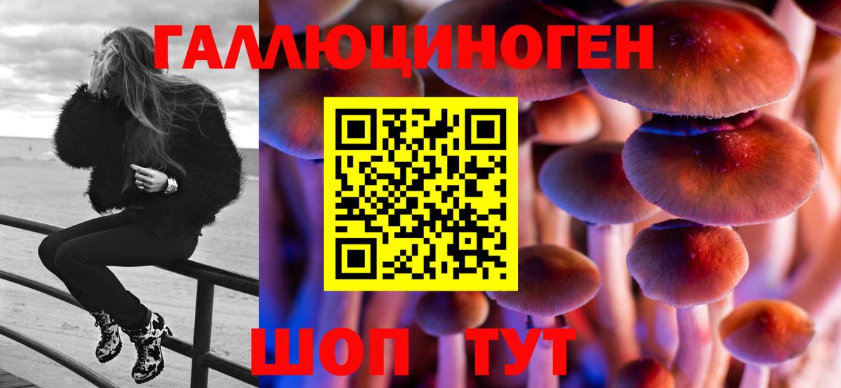 магазин продажи   Псилоцибиновые грибы ЛСД  Галлюциногенные грибы MAGIC MUSHROOMS  Вход с VPN  Кумертау 